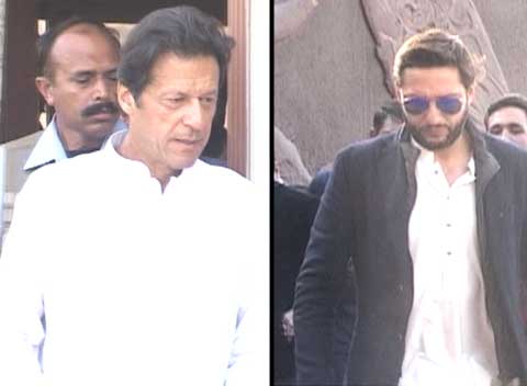 Image result for shahid afridi imran and buzdar pic