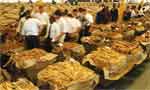 Zimbabwe expects tobacco revenue rise by 16%