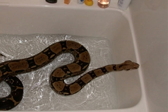 3 foot bathtub