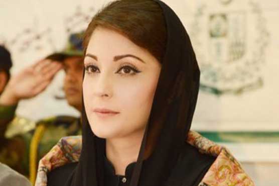 Prove Panama Leaks' allegations or apologise, tweets Maryam Nawaz