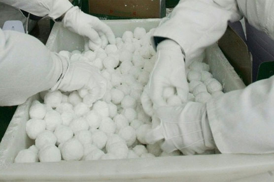 Japan man dies after rice ball eating contest