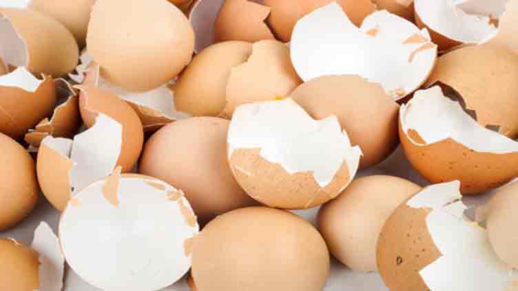 Surprising Use of Egg Shells