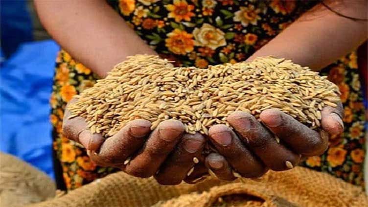 Food Security: A Crucial Pillar for Pakistan's Future