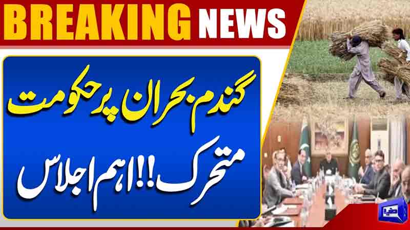 Govt Takes Action Over Wheat Crisis  Important Meeting Held  Wheat Crisis  Dunya News