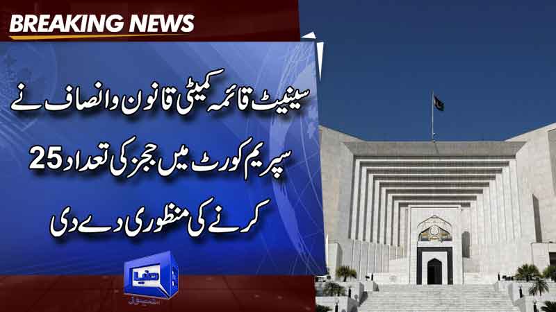  Senate committee agrees to increase in number of SC judges