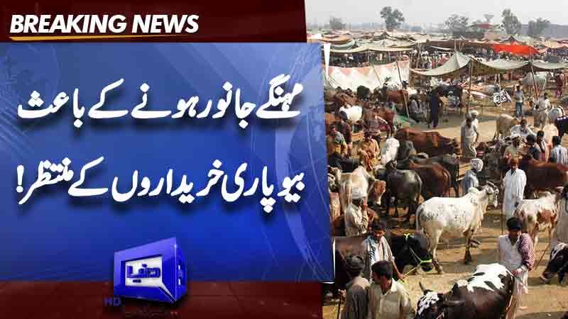  Eid sacrifice comes at hefty price