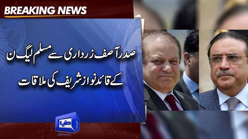  President Asif Ali Zardari  meets Nawaz Sharif 