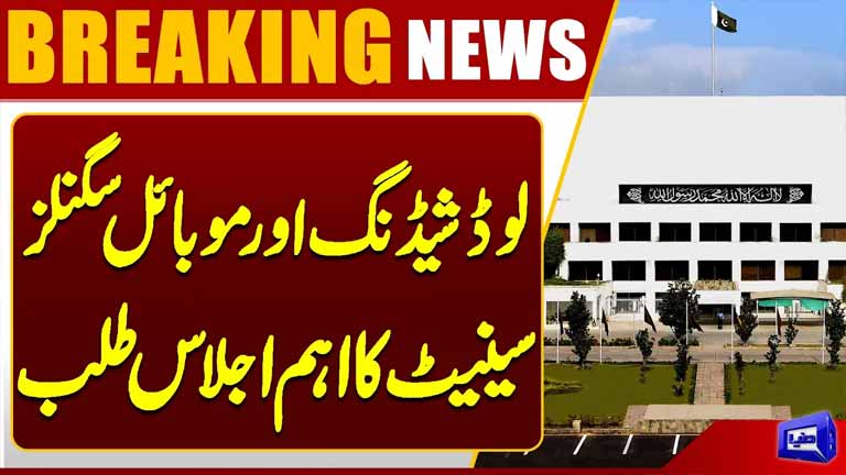 Major Senate Meeting Over Electricity Shortages and Signal Problems of Mobile Companies