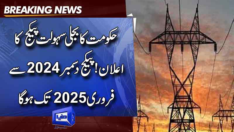  Government announces power facilitation package from December 2024 to February 2025