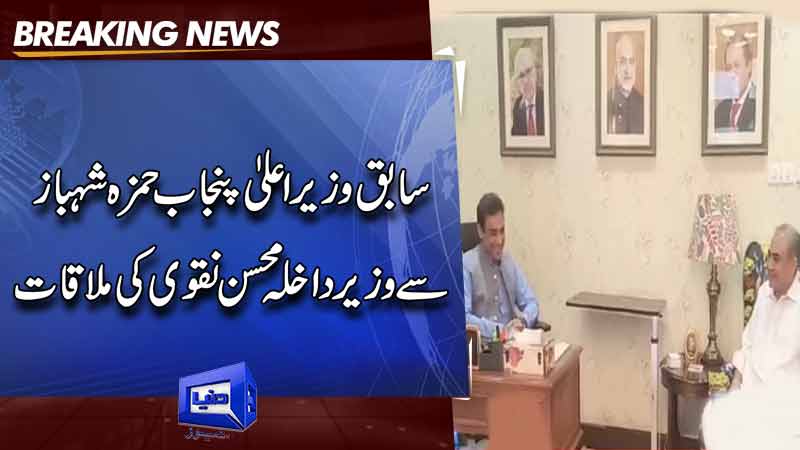 Interior Minister Mohsin Naqvi meets Hamza Shehbaz