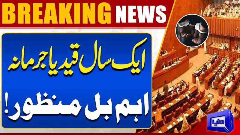  Senate Passes Bill: Jail or Fine for Refusing Treatment to Rape Victim  Breaking News  Dunya News