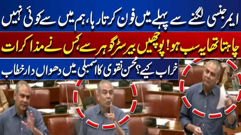 We Tried to Prevent Emergency in KP Who Sabotaged the Talks?  Mohsin Naqvis Fiery Speech