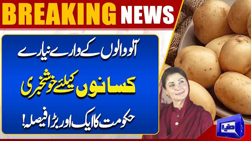  Big Relief for Potato Farmers Government Announces Major Decision  Breaking New  Dunya News