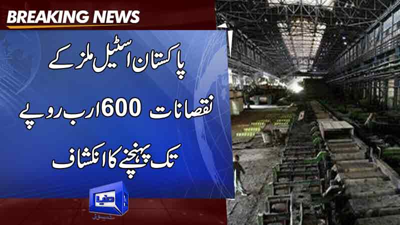  Pakistan Steel Mills Losses to Hit Rs. 600 Billion