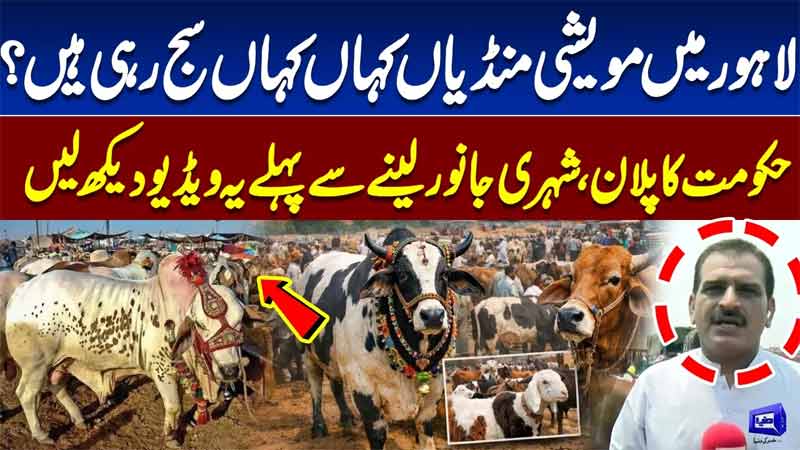 Lahore Maweshi Mandi Guide 2026  Best Places to Buy Qurbani Animals in Lahore 