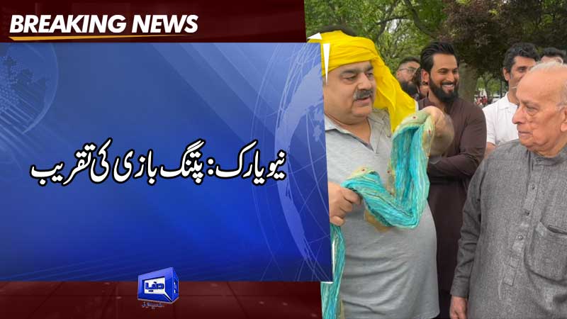  New York: Kite Festival