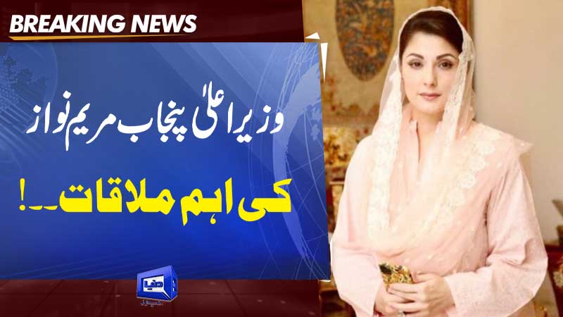  Speaker Punjab Assembly Malik Ahmed Khan Meeting with Chief Minister Maryam Nawaz