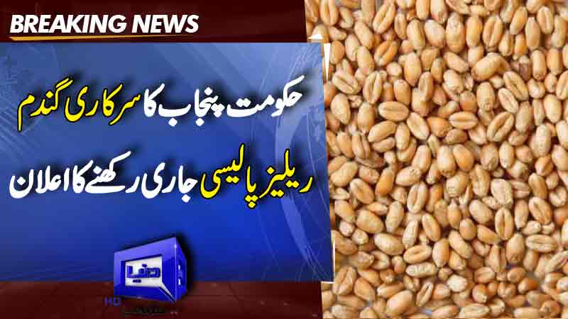 Punjab government to continue wheat release policy