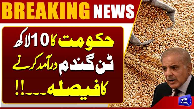 Government Decides to Import 1 Million Tons of Wheat  Major Move Amid Supply Concerns 