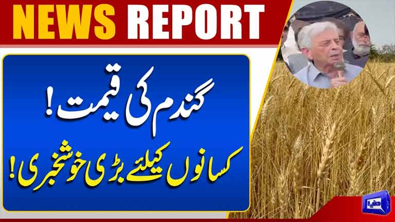 Rana Tanveer Hussain Congratulates Farmers on Wheat Price Fixation   Dunya News