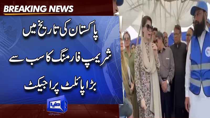  CM Maryam Nawaz announced incentives for shrimp farming