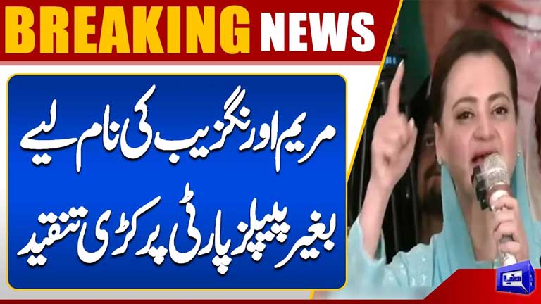 PML-N Leader's Sharp Criticism of PPP Without Mentioning Names