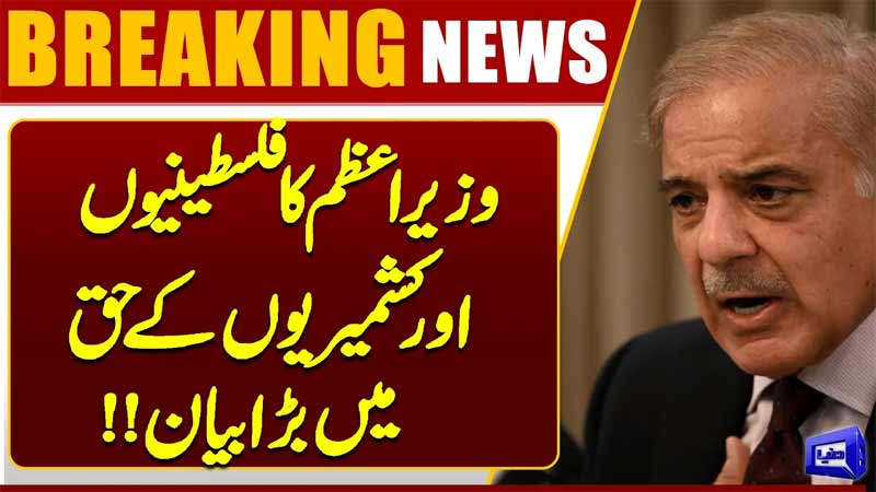 Prime Ministers Big Statement in Support of Palestine & Kashmir  Breaking News