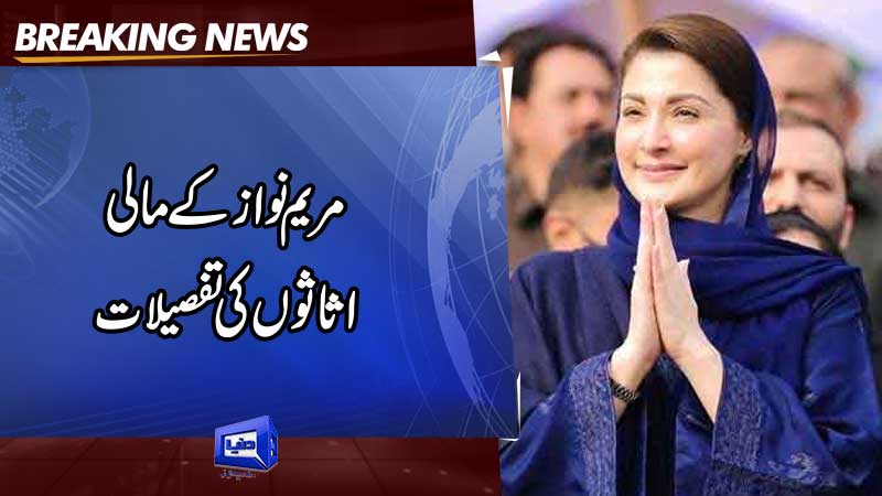  Assets detail of Chief Organizer and Senior Vice President of PMLN Maryam Nawaz