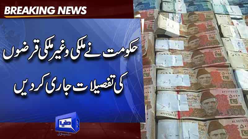  Government has released the details of domestic and foreign loans