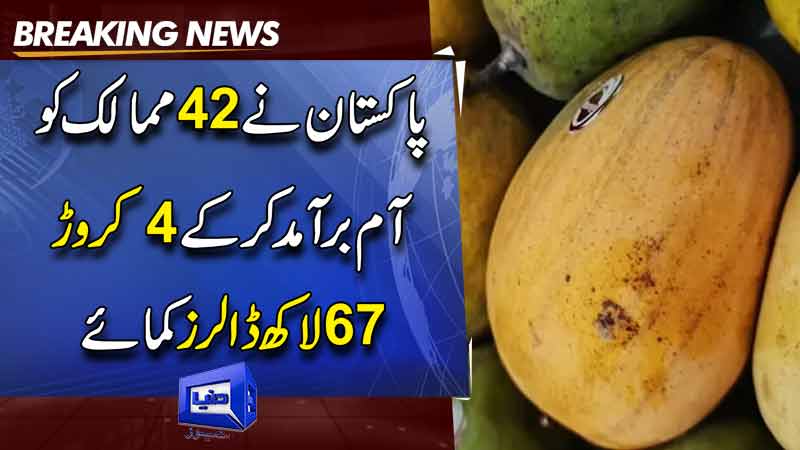  Pakistan earned $46.7 million in mango exports, says commerce ministry