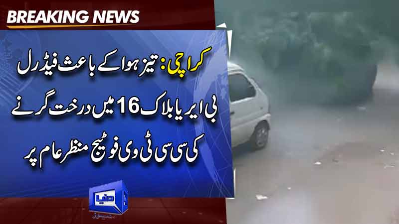  Two injured after tree falls due to heavy rain in Karachi