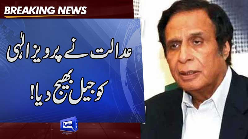  Court sends Parvez Elahi on judicial remand in illegal appointments case