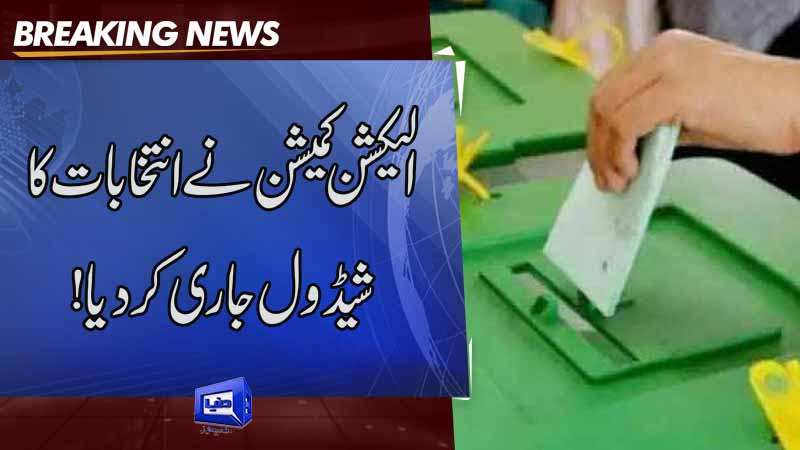 ECP releases schedule for Punjab election