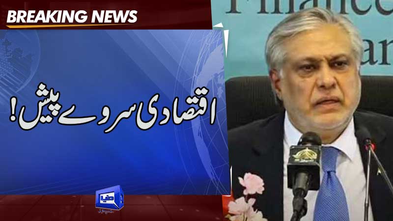  Dar unveils economic survey for fiscal year 2023