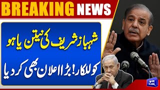  Trump's Peace Plan  PM Shehbaz Sharif Stands With Gaza