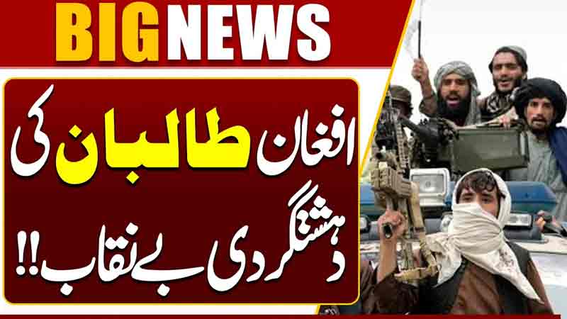 Afghan Taliban Terrorism Exposed Shocking Details Revealed  Breaking News  Dunya News