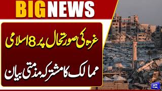 8 Muslim Countries Issue Joint Statement on Gaza  Strong Condemnation
