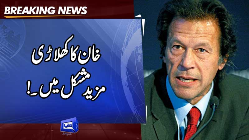  Money-laundering: Moonis Elahi, six others declared absconders