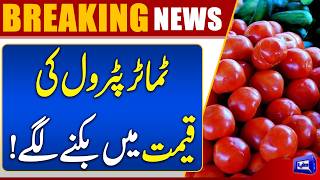 Tomatoes Become Costlier Than Ever  Latest Price Update 