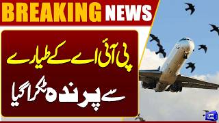 PIA Plane Suffers Bird Strike Incident  Lahore to Karachi