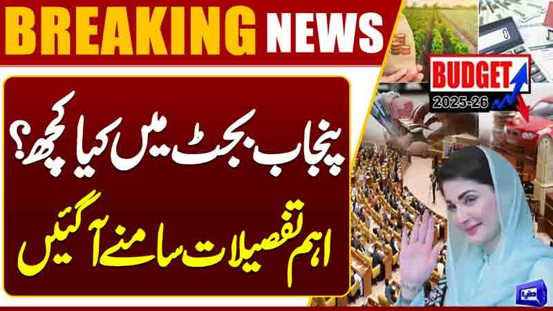  What's in the Punjab budget? Important details revealed