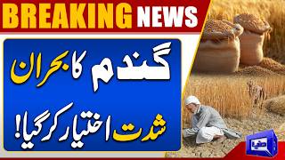 Wheat Crisis Deepens in Pakistan