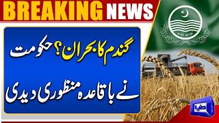 Wheat Crisis? Government Gives Formal Approval for Imports  Breaking News  Dunya News