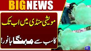 Eid-ul-Adha 2026 Countdown Begins Massive Public Crown in Cattle Market  Breaking News  Dunya