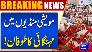 Inflation Hits Cattle Markets  Public Faces Financial Pressure  Breaking News  Dunya News