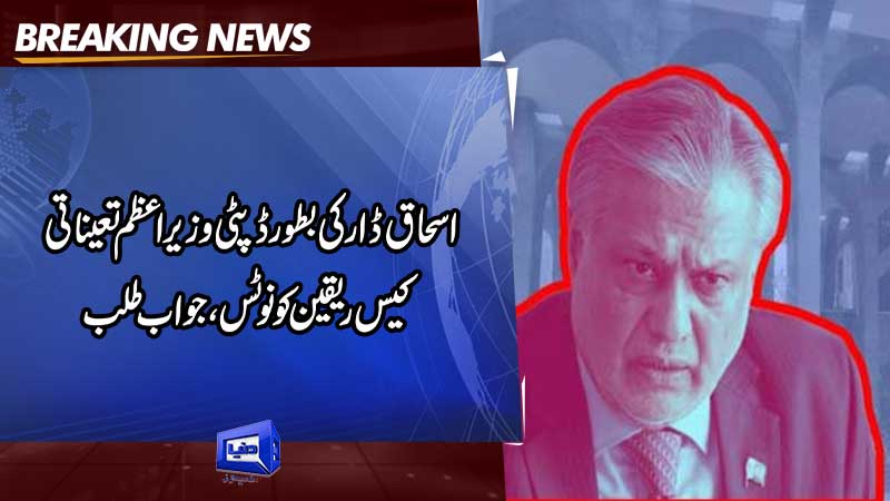  Notices issued on plea against Dar's appointment as deputy prime minister