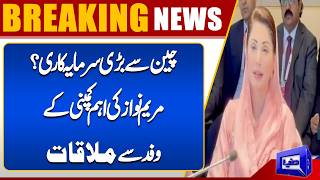 Maryam Nawaz Meets Senior Delegation of Leading Chinese Company  Dunya News