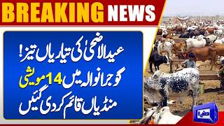 Preparations for Eid-ul-Adha Intensify as 14 Cattle Markets Open in Gujranwala