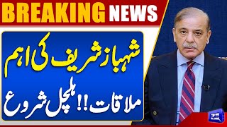  PM Shehbaz Sharif Meets UAE President  Key Diplomatic Talks  Dunya News