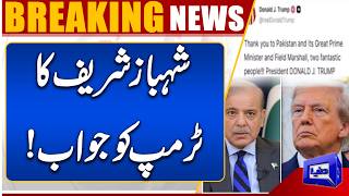 PM Shehbaz Sharif Responds to Donald Trump  US Iran Peace Talks  Dunya News